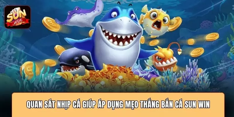 Quan sát nhịp cá giúp áp dụng mẹo thắng bắn cá SUN WIN